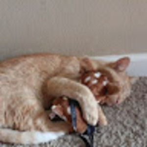 Meet your Posher, Brilynn